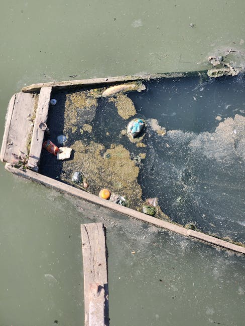 A close-up aerial view of a wooden frame or demarcated section on a water surface, possibly part of a floating dock or barrier, with visible weathered wooden planks showing signs of aging and minor damage, attached to the water through nails or screws. Inside this frame, there is a mixture of debris including a partially submerged blue plastic object, a small orange ball, and a collection of yellowish-green algae or duckweed floating on the water, indicating stagnation or environmental contamination. The water outside the framed section appears murky and greenish in colour. The scene may relate to waste or debris accumulation in a waterway, which could be managed through independent rubbish removal services offered by companies like Waste Collection Kentish Town, especially in areas where natural or urban water features require clearance from pollution or floating waste. The overall environment appears natural but shows signs of neglect, highlighting the importance of proper waste management in public or private water areas.