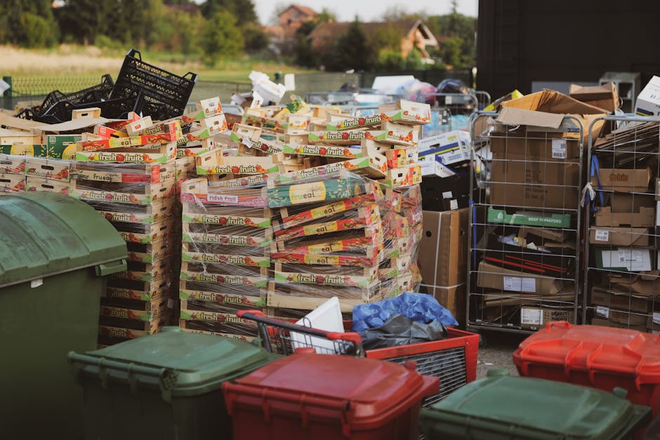A large outdoor area shows numerous stacks of empty cardboard fruit and vegetable boxes, predominantly featuring colorful labels with the words 'fresh fruits,' arranged in neat piles. To the right, several metal wire cages and open cardboard boxes contain miscellaneous waste materials, including paper, packaging, and smaller discarded items. In the foreground, a green plastic wheelie bin, a red bin, and some additional bins are situated on a paved surface, with a small shopping trolley containing a blue plastic bag and other debris nearby. Behind the stacks, there is a backdrop of a grassy field with trees and a few residential houses in the distance under natural daylight, indicating a rural or suburban setting. The scene appears to depict a location involved in waste collection or disposal, possibly linked to private waste management services such as those offered by Waste Collection Kentish Town, highlighting organized rubbish accumulation and the handling of different waste types in an outdoor storage area connected to waste removal activities.